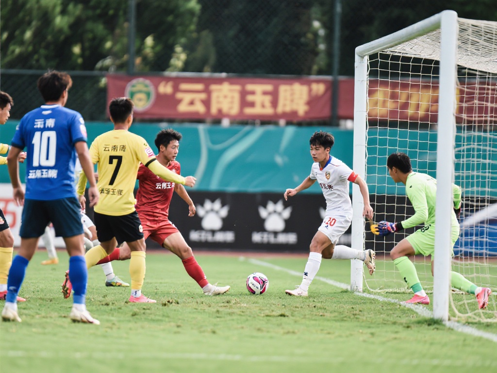 作为一家国 作为一家国