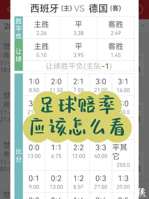 世界杯下注APP是否适合初学者的评估 世界杯下注APP是否适合初学者的评估